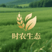 时农生态农产品