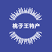桃子王生鲜特产