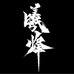 曦烽摄影学院