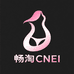 畅淘CNEI