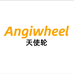 Angiwheel