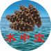 水中宝海参一店
