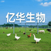 亿华养殖店