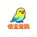 情宝宠鹦