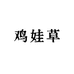 鸡娃草