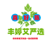 丰婷艾严选仓