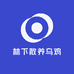 丰赢林下散养乌鸡