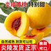 鲜果农九号仓