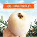 塘栖枇杷科技开发的店铺头像