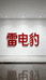 雷电豹勇东电源工厂店