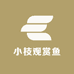 小枝观赏鱼