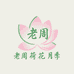 老周荷花月季