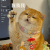 猫王家严选