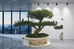 洪阳绿植优品
