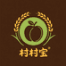 村村宝水果甄选