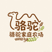 骆驼农场