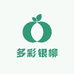 多彩银柳花艺