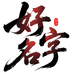 好名字专业起名取名改名