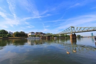 专治EA888烧机油