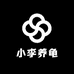 小李养龟