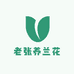 老张养兰花