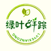 绿叶鲜踪
