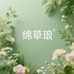 绵草琅绿植生活坊