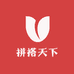 拼搭天下玩具店