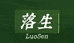 落生茶Luosen