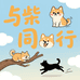 与柴同行