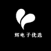 昇辉电子优选