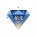 Bai柏禾轻奢饰品