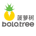 bolotree菠萝树专卖店