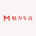 魅力车音