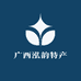 广西泓韵特产