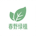 春野绿植