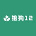 狼狗12