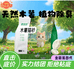 黄困困宠物用品店