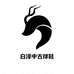 白泽中古球鞋