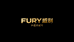 FURY 威利台球杆