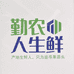勤农人生鲜