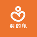 羽的龟
