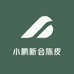 小鹏新会陈皮