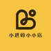 小进的小小店