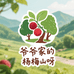 爷爷家的杨梅山呀