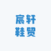 宸轩鞋贸工厂店