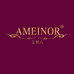 AMEINOR梵诗尚品女鞋专卖店