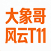 大象哥的风云T11