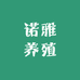 若雅肉蛋臻选阁