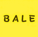 BALE鞋工厂